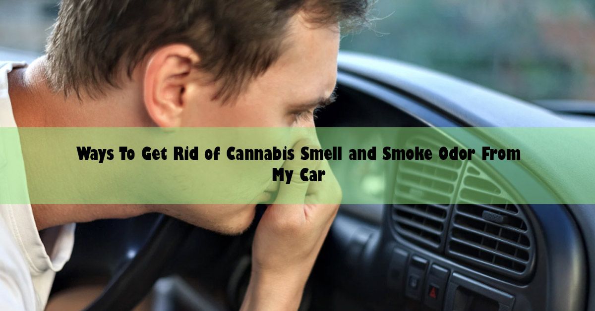 blog-wide-way-to-get-ride-of-cannabis-smell.jpg