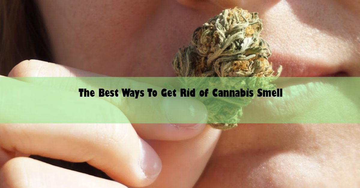 blog-wide-best-ways-to-get-ride-of-smell.jpg