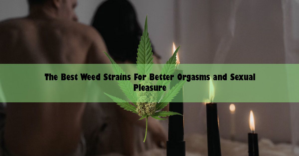 blog-wide-best-weed-strain-for-better-orgasms-and-pleasure.jpg