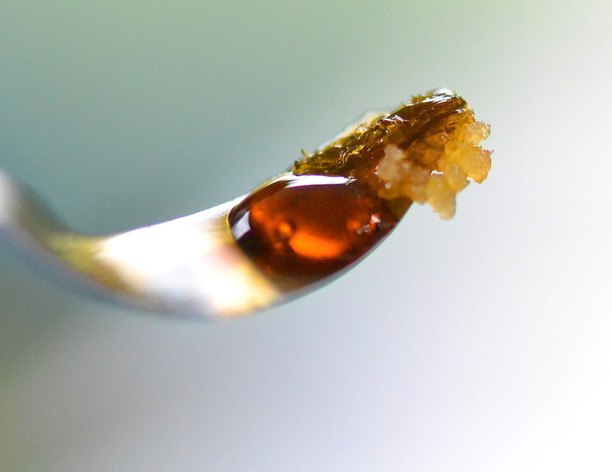 Buy Concentrates