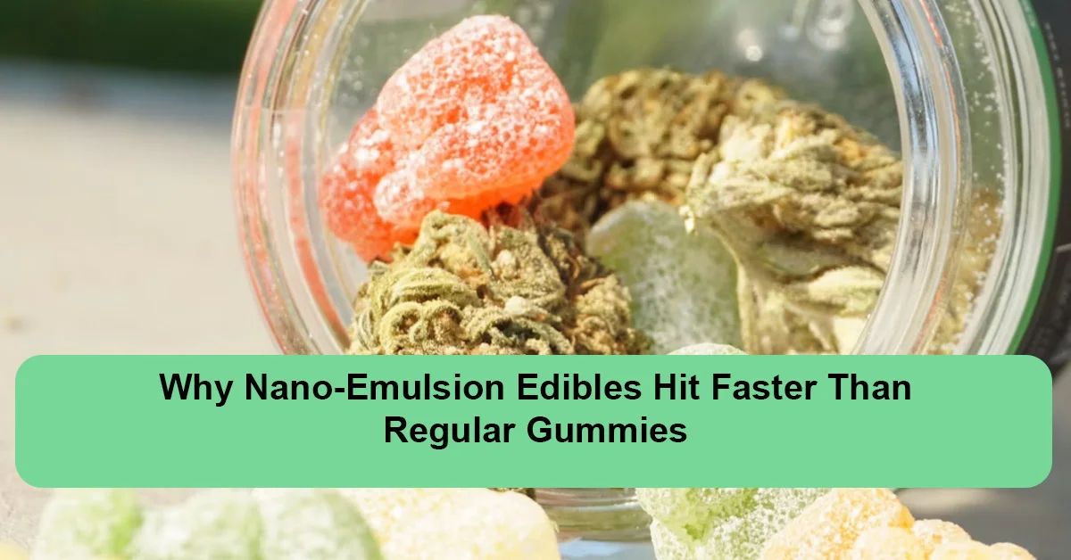 nano-emulsion-edibles-faster-onset.webp