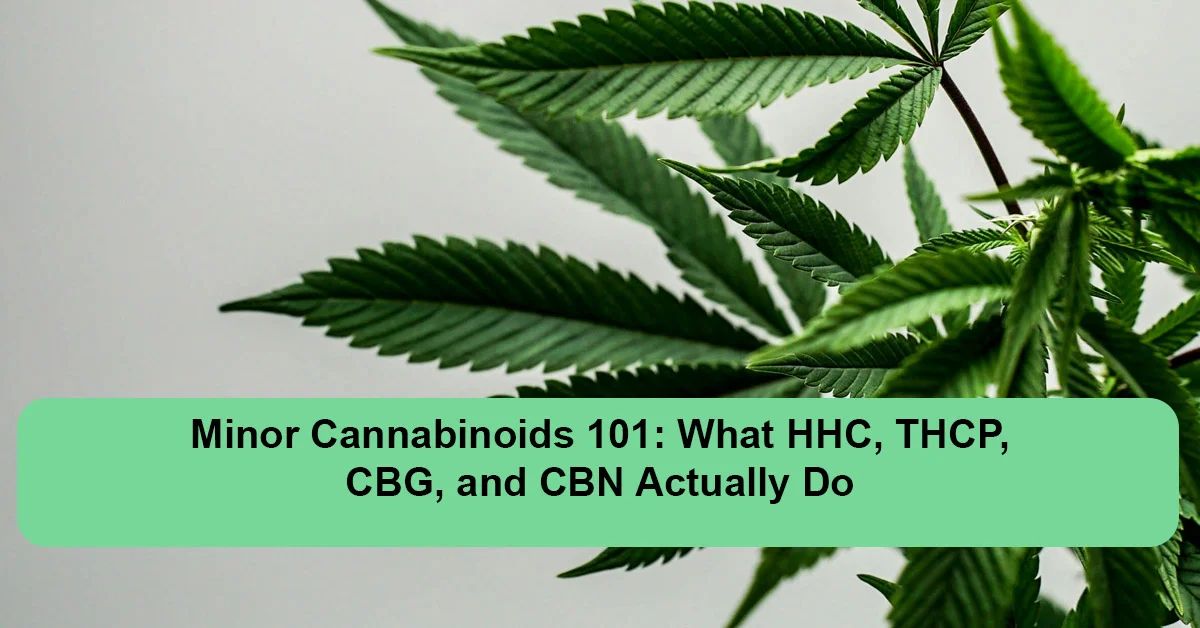 minor-cannabinoids-explained-hhc-thcp-cbg-cbn.webp