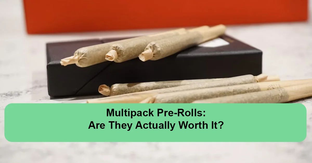 multipack-pre-rolls-worth-it.webp