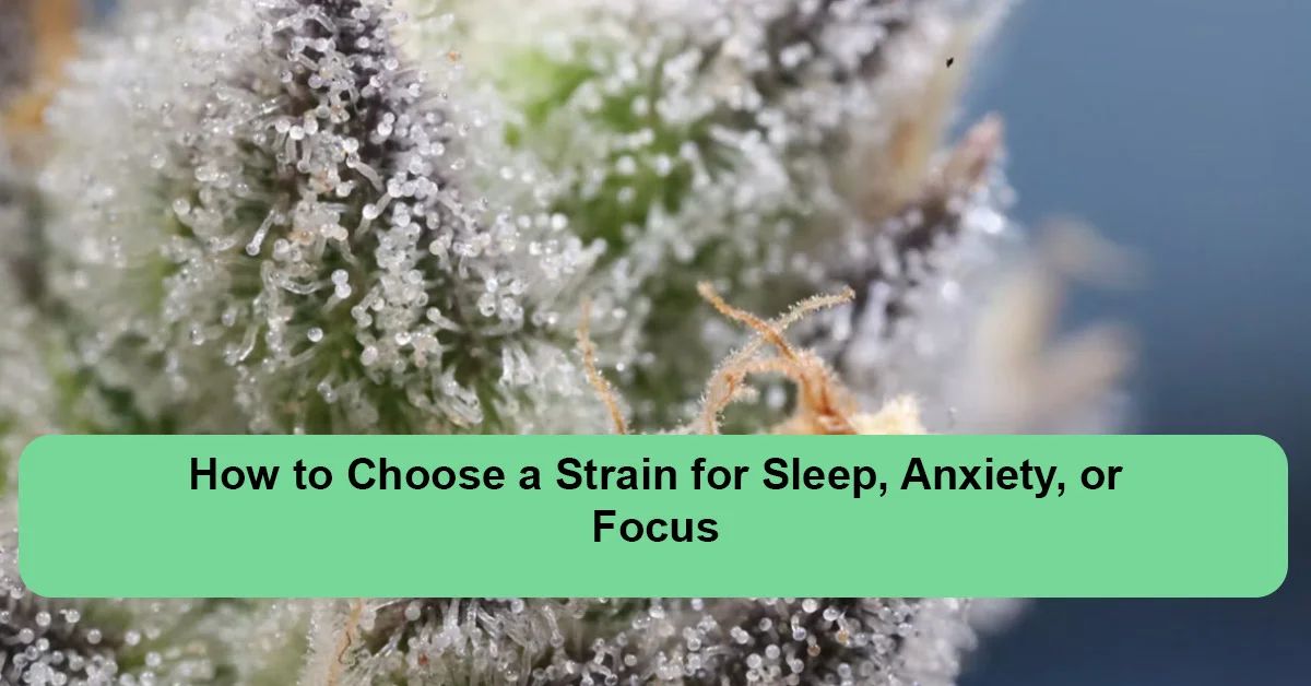 best-strains-sleep-anxiety-focus.webp
