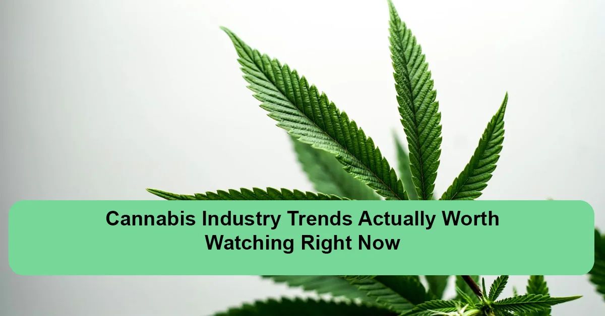 cannabis-industry-trends-to-watch.webp