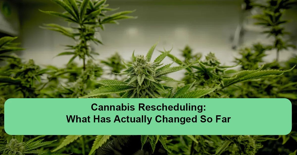 cannabis-rescheduling-what-it-actually-means.webp