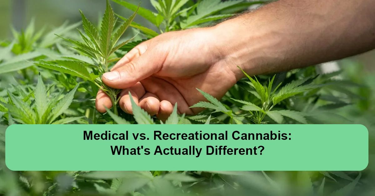 medical-vs-recreational-cannabis-differences.webp