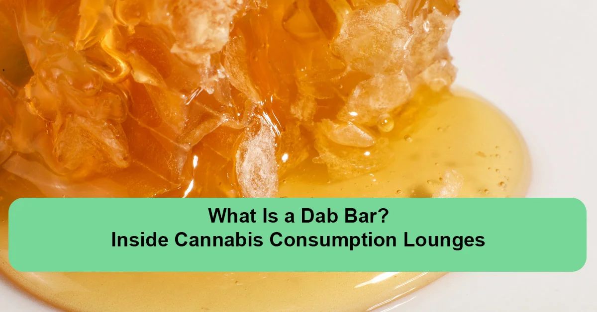 what-is-a-dab-bar-consumption-lounges.webp