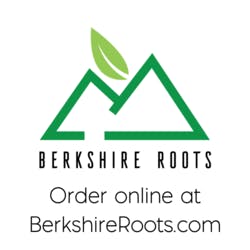 Dipensary logo