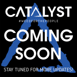 Dipensary logo