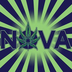 Dipensary logo