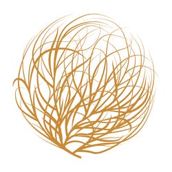 Dipensary logo